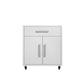 Eiffel 28.35" Mobile Garage Storage Cabinet with 1 Drawer
